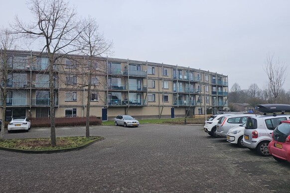 De Barrage 81