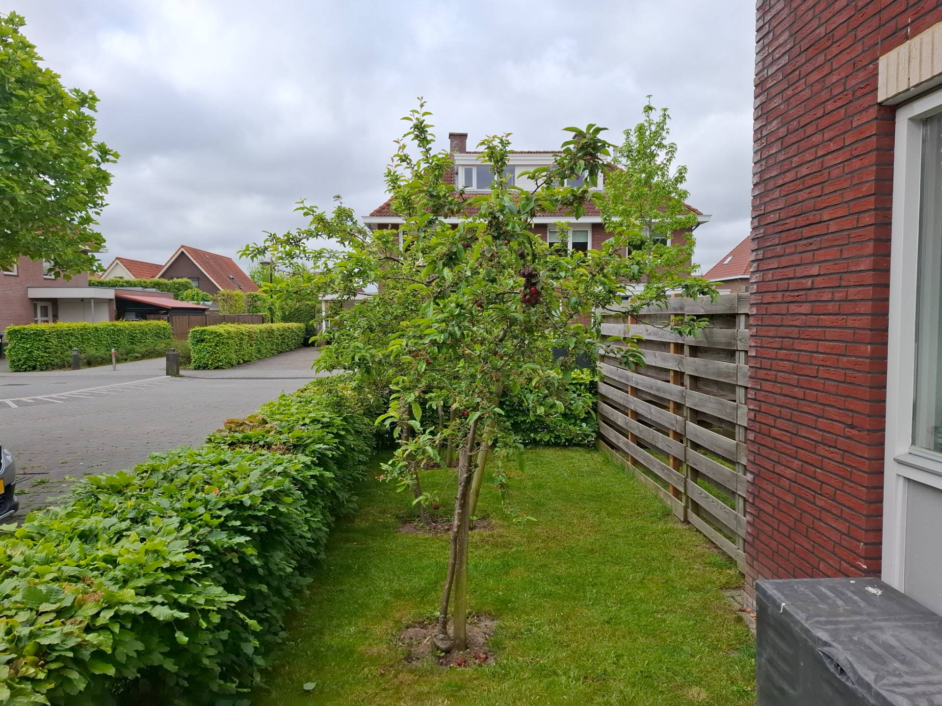 Voegspijker 1