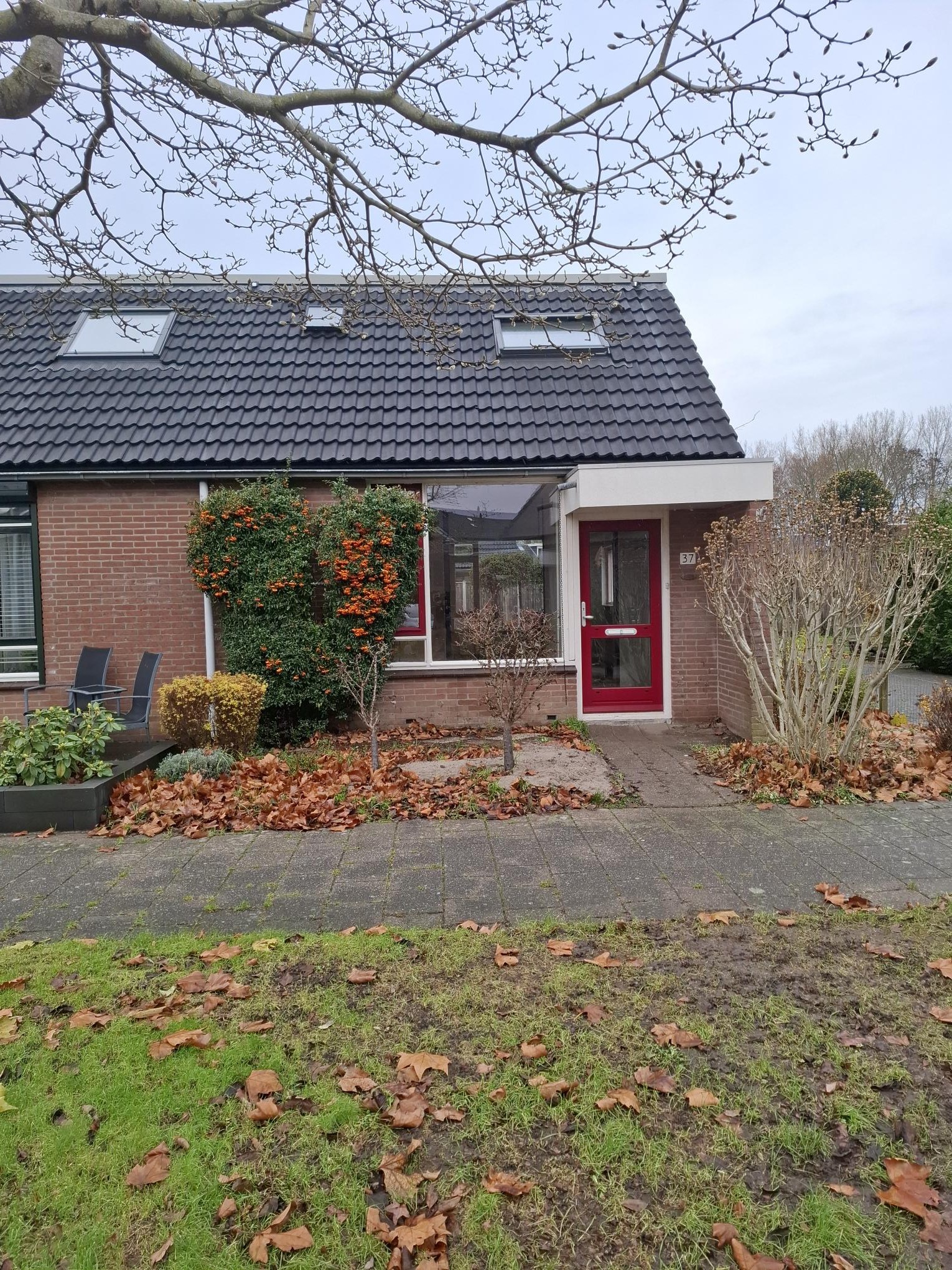 Het Blazoen 37, 8255 DA Swifterbant, Nederland