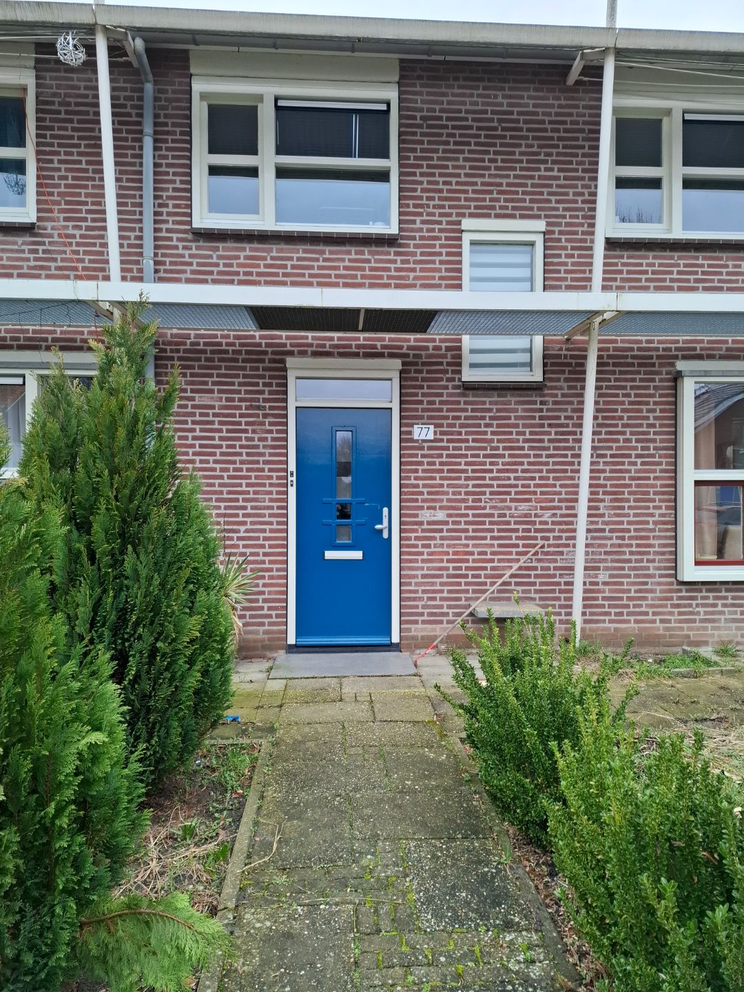 Cultuursingel 77
