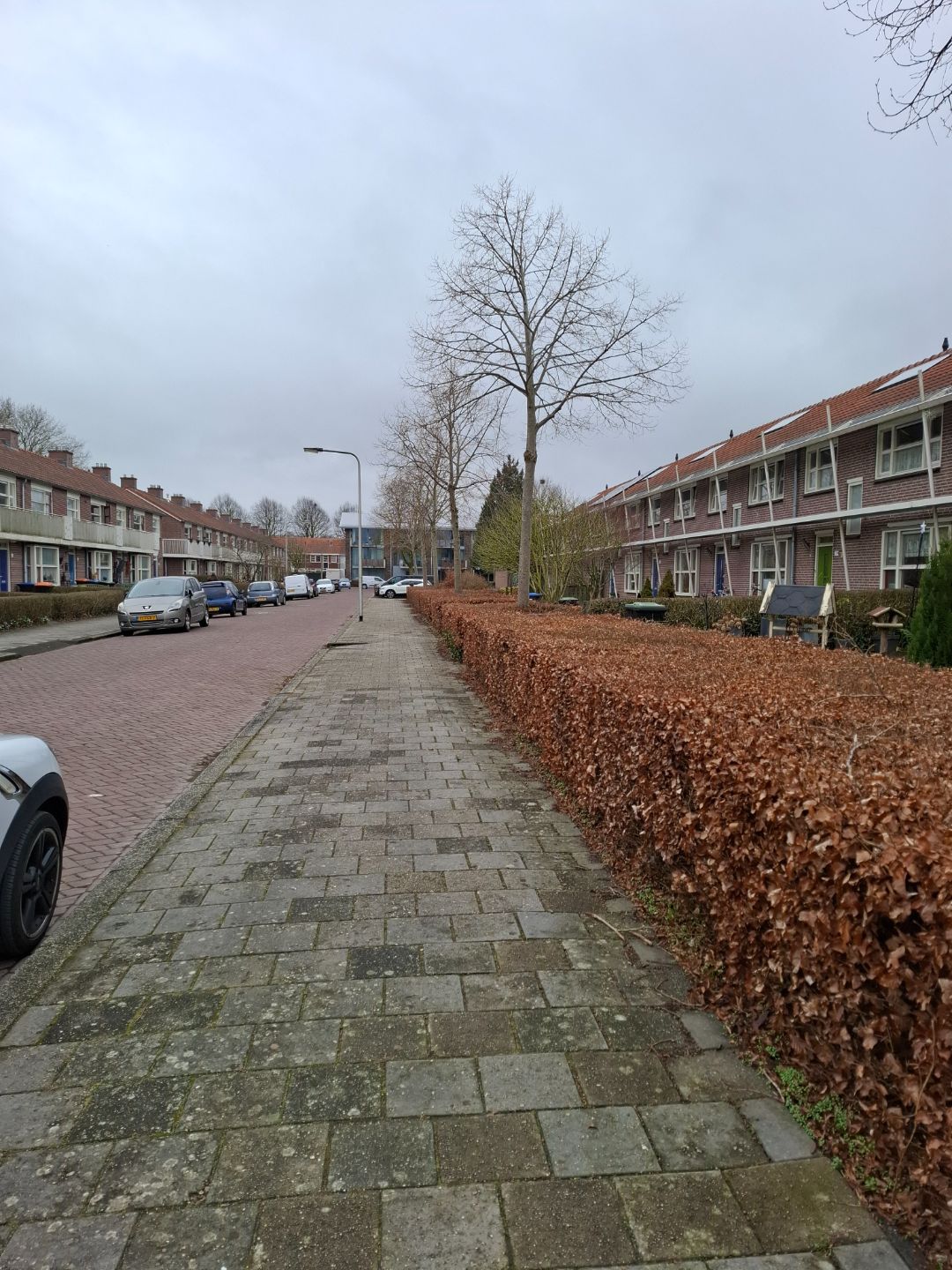 Cultuursingel 77