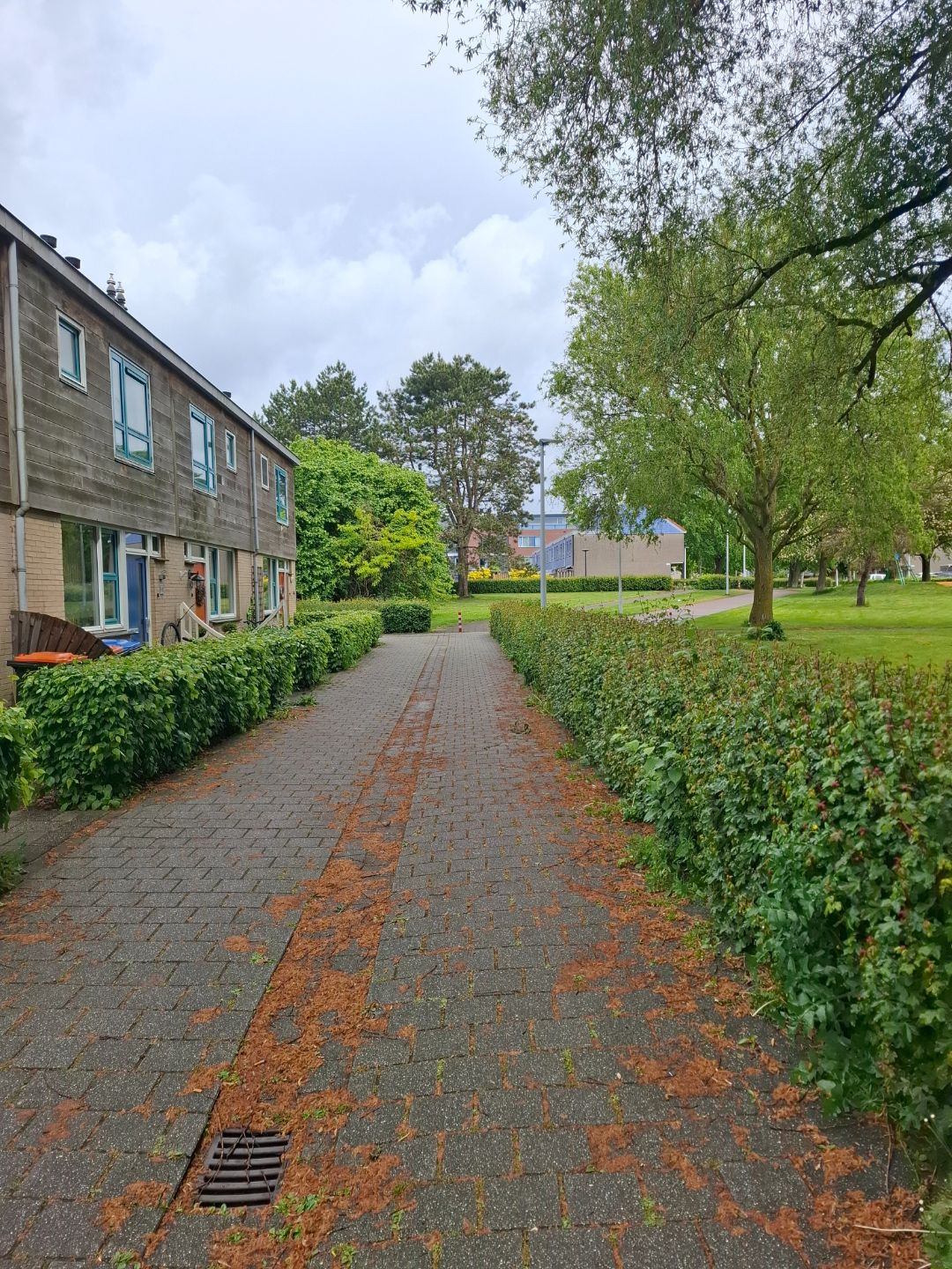 De Stag 58
