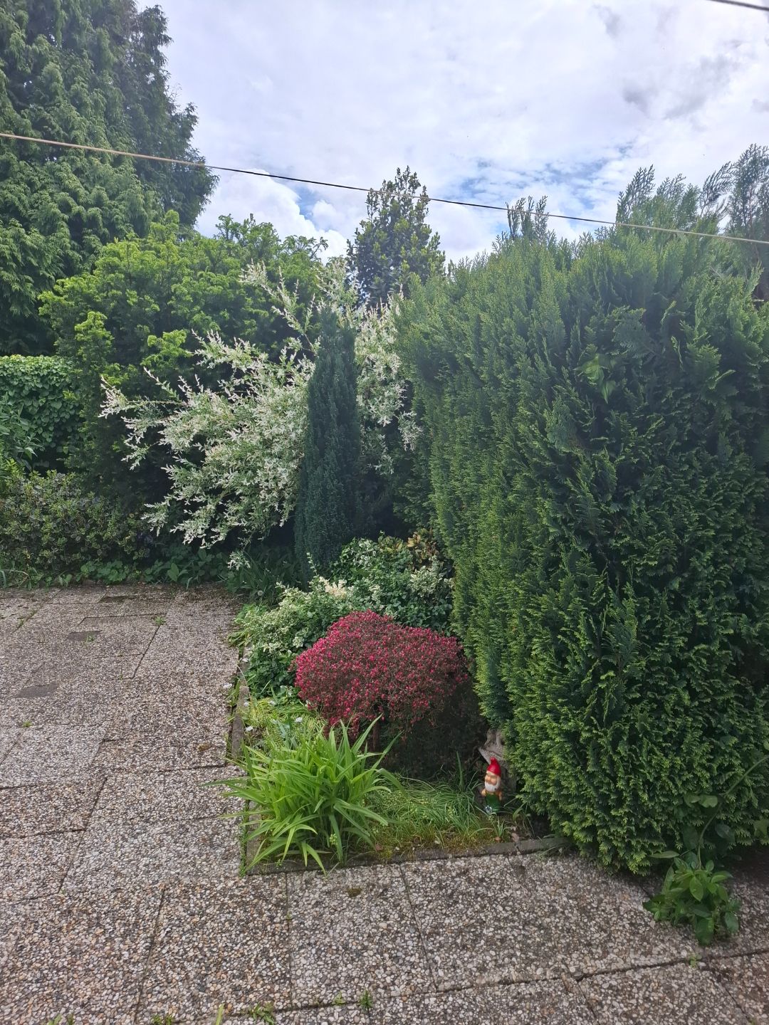 Cultuursingel 114