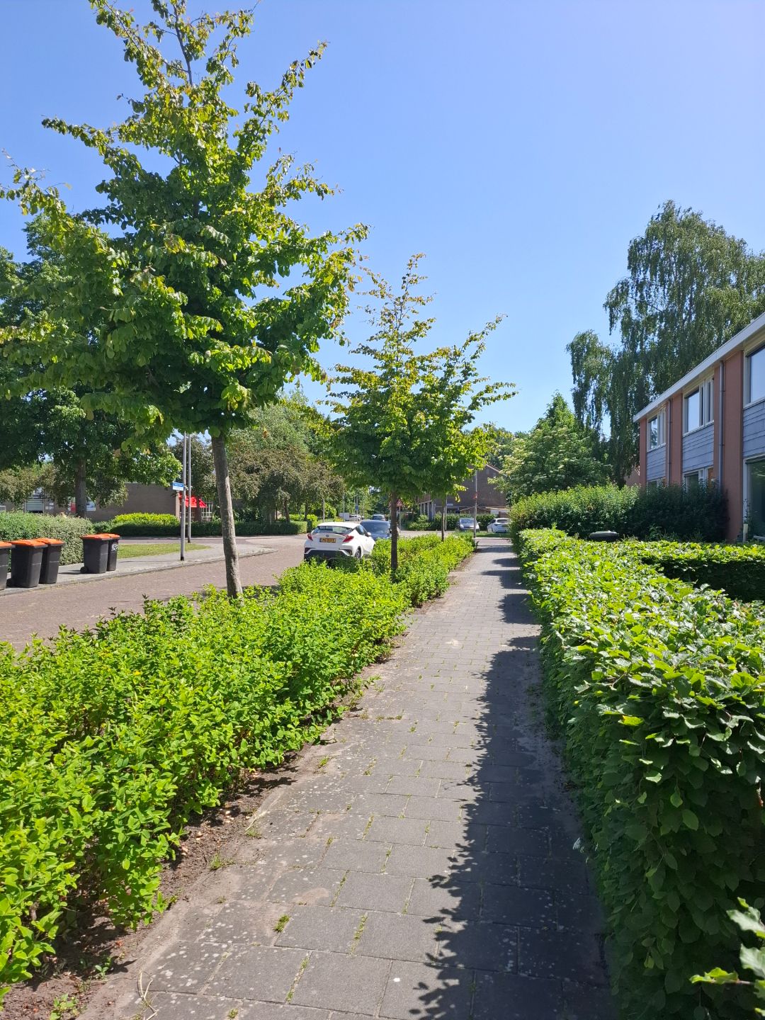 Gletsjerstraat 12