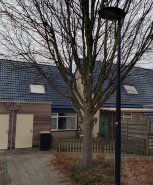 De Garve 11, 8256 DS Biddinghuizen, Nederland